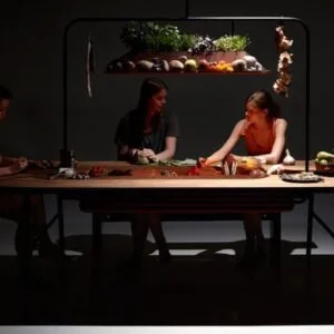 bio kitchen — Imagine 6