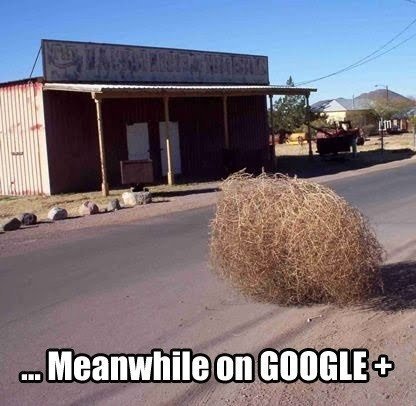 Meanwhile on google+