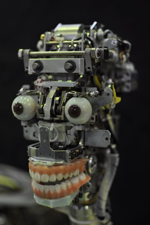 Geminoid F 1 5
