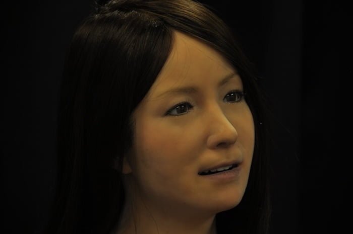 Geminoid