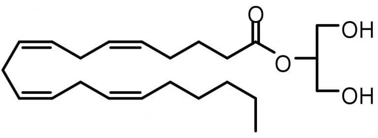 Cannabis 6