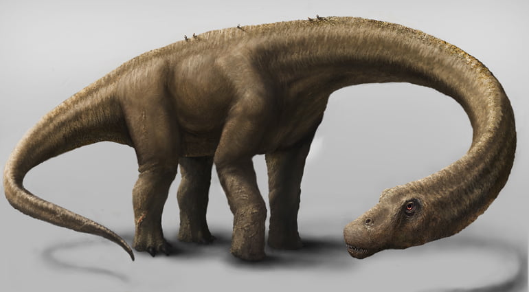 Dreadnoughtus schrani -2
