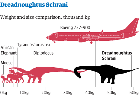 infografie