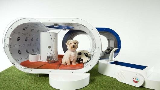 Samsung Dream Doghouse
