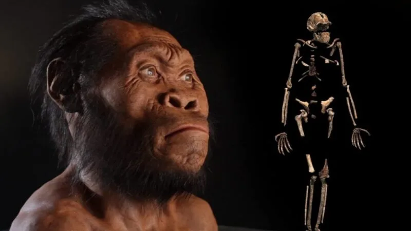 Homo naledi