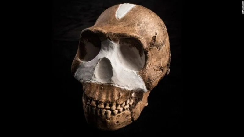 Homo Naledi