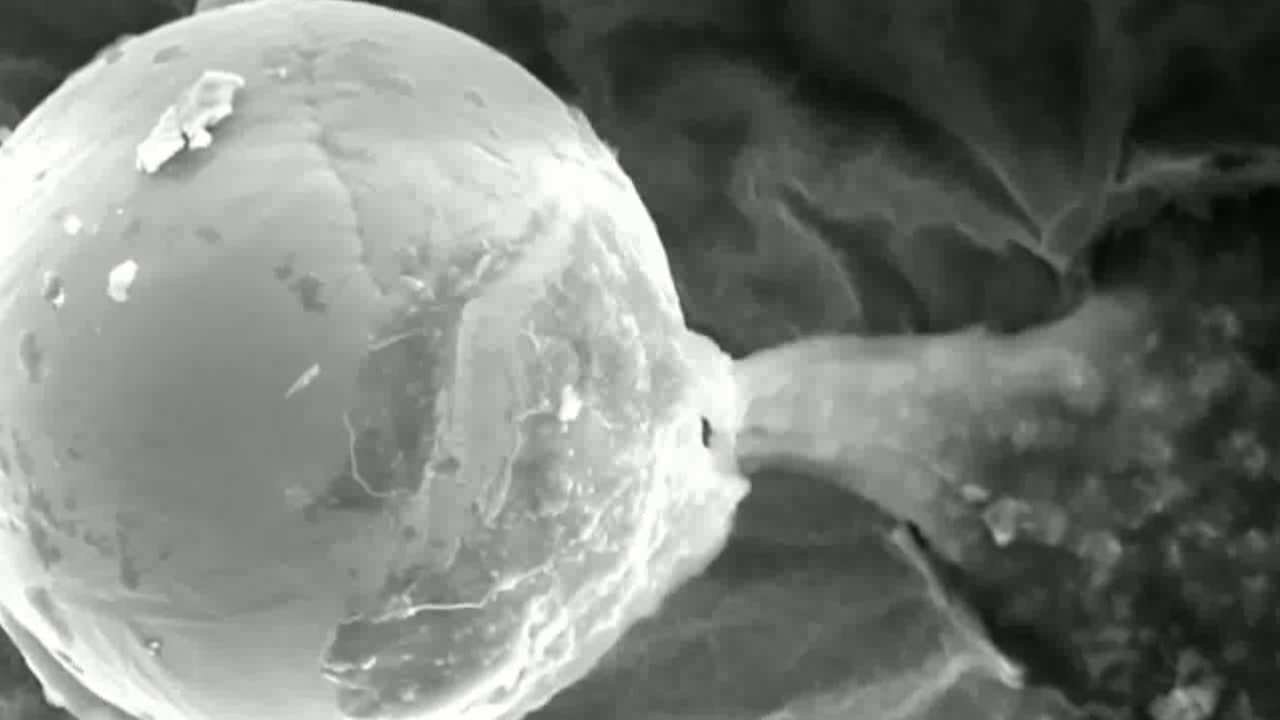 Obiect extraterestru, descoperit în stratosferă