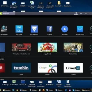 BlueStacks2_5