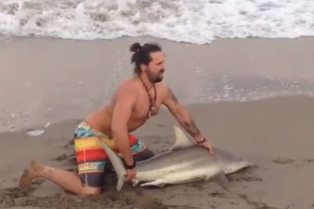 Selfie extrem Un bărbat a scos un rechin din apă să facă poze cu el