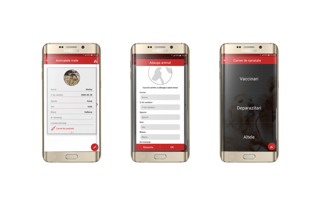 cainele sau pisica — Imagine 3 vetapp-2