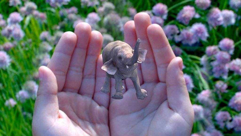 magic_leap-0-0