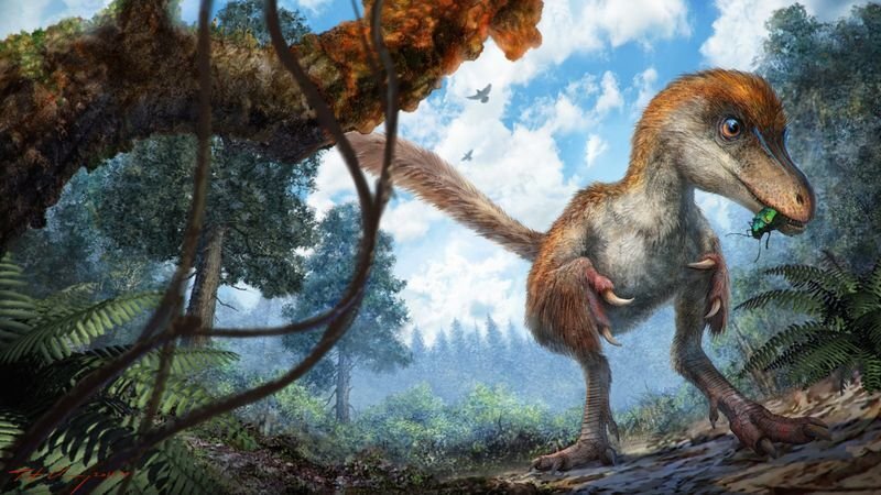 dinozaur cu pene