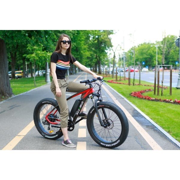 Bicicleta fat bizzebikes 1