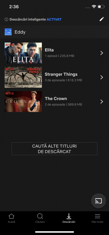 Netflix Smart Downloads, disponibilă și pentru iPhone și iPad