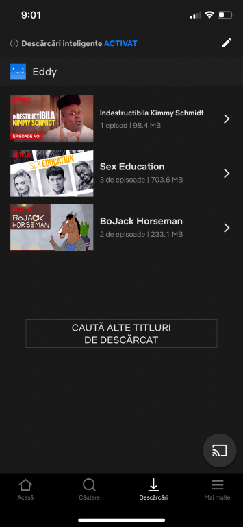 Netflix Smart Downloads, disponibilă și pentru iPhone și iPad