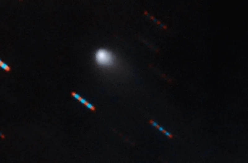 C/2019 Q4