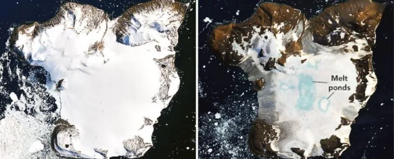 globale în Antarctica