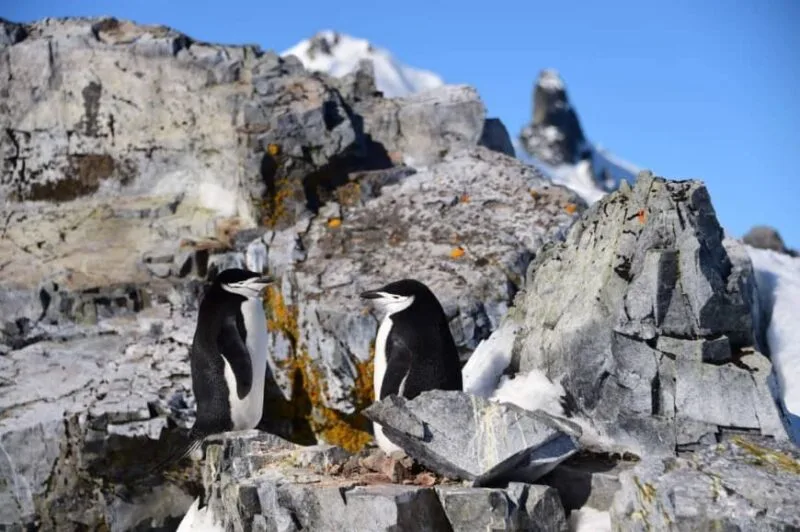 Antarctica registers record