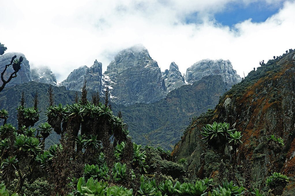 Rwenzori
