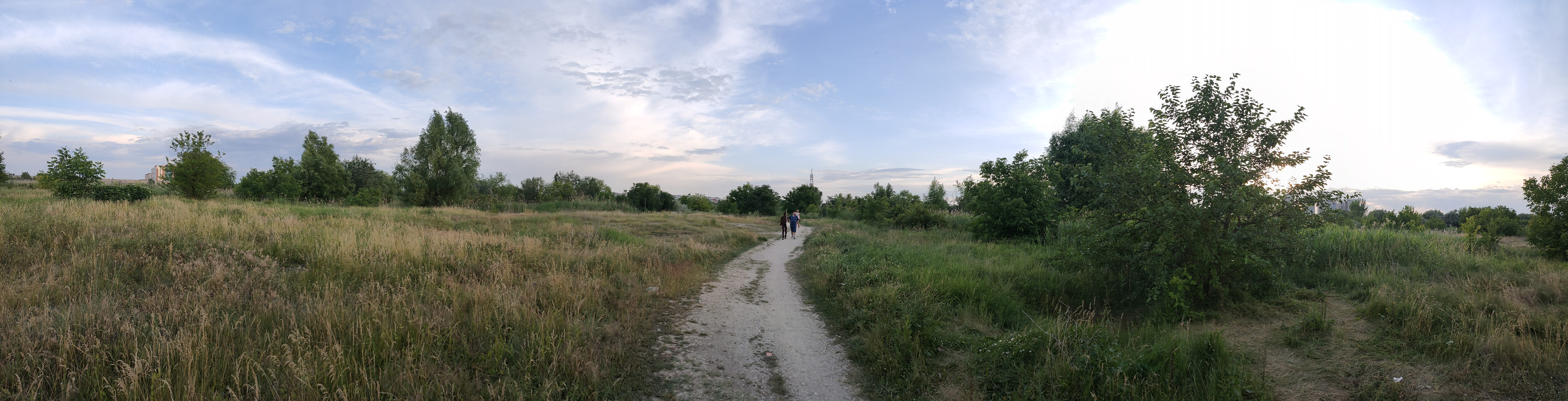 Delta Vacaresti — Imagine 2 Descopera Delta Vacaresti. Un reportaj video & fotografii cu prima rezervație naturală din București