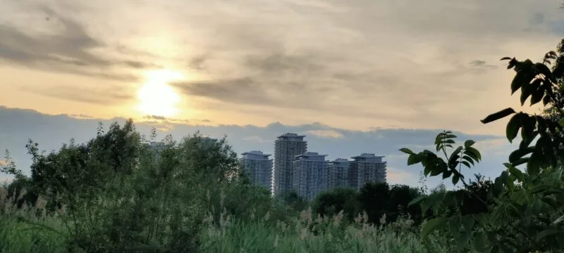 Delta Vacaresti
