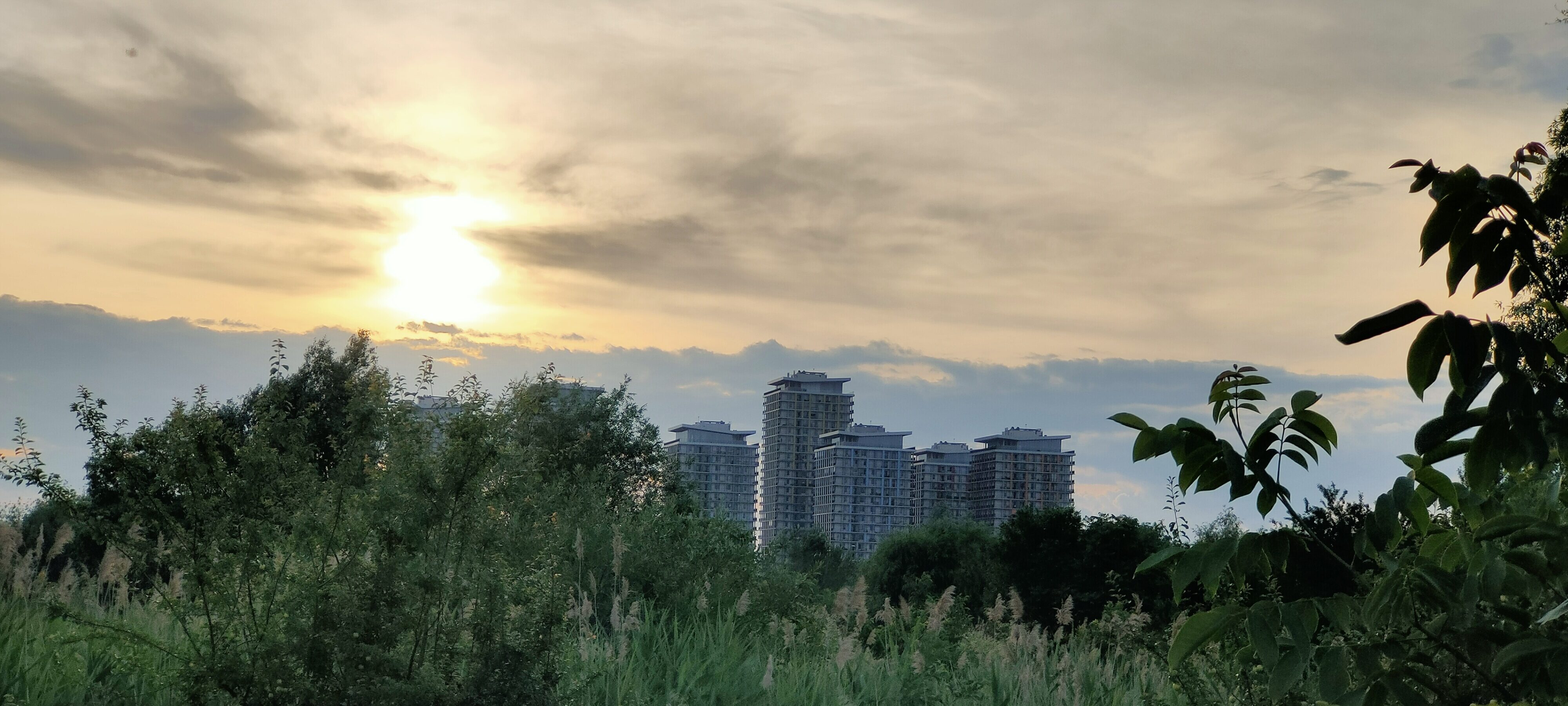 Delta Vacaresti — Imagine 5 Descopera Delta Vacaresti. Un reportaj video & fotografii cu prima rezervație naturală din București