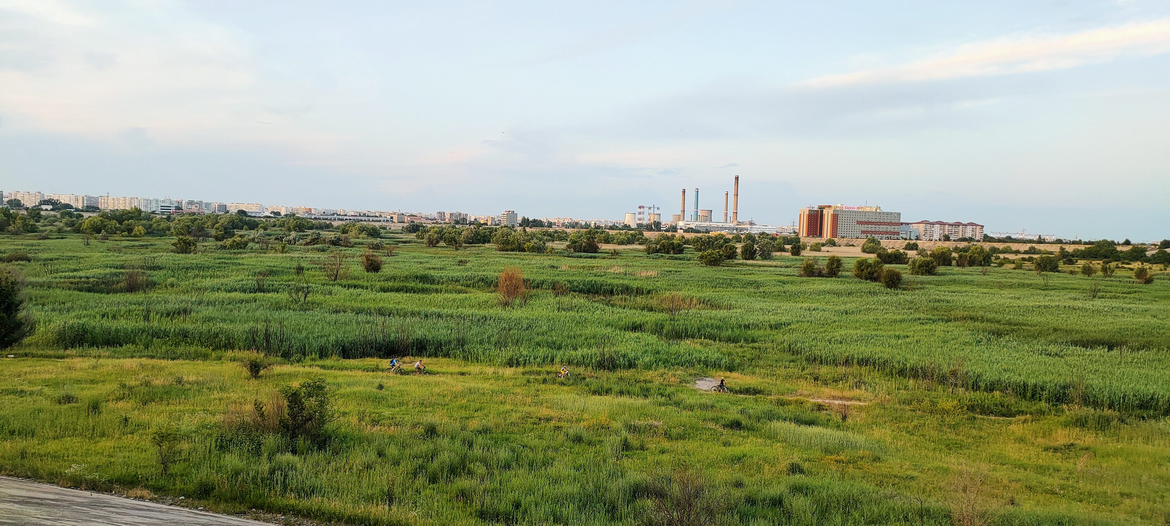 Delta Vacaresti — Imagine 4 Descopera Delta Vacaresti. Un reportaj video & fotografii cu prima rezervație naturală din București