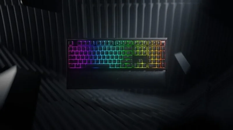 Ornata V2