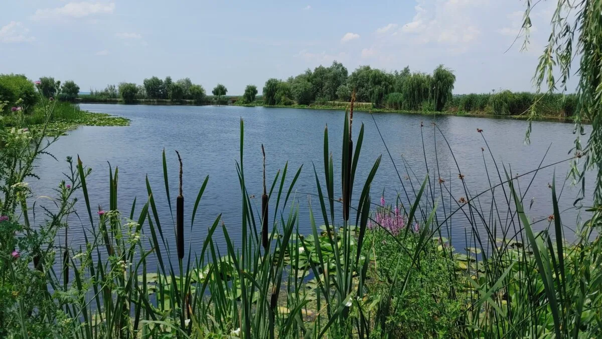 aventură Comana — Imagine 27