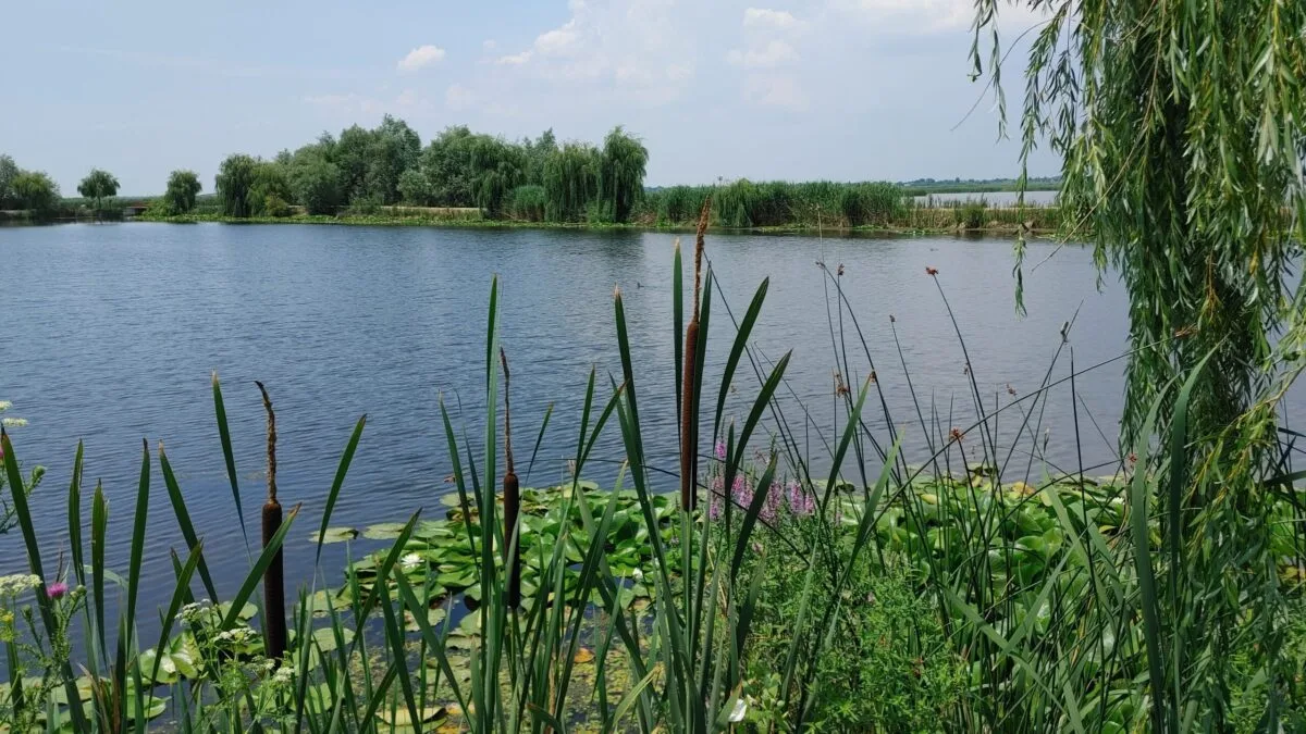 aventură Comana — Imagine 30