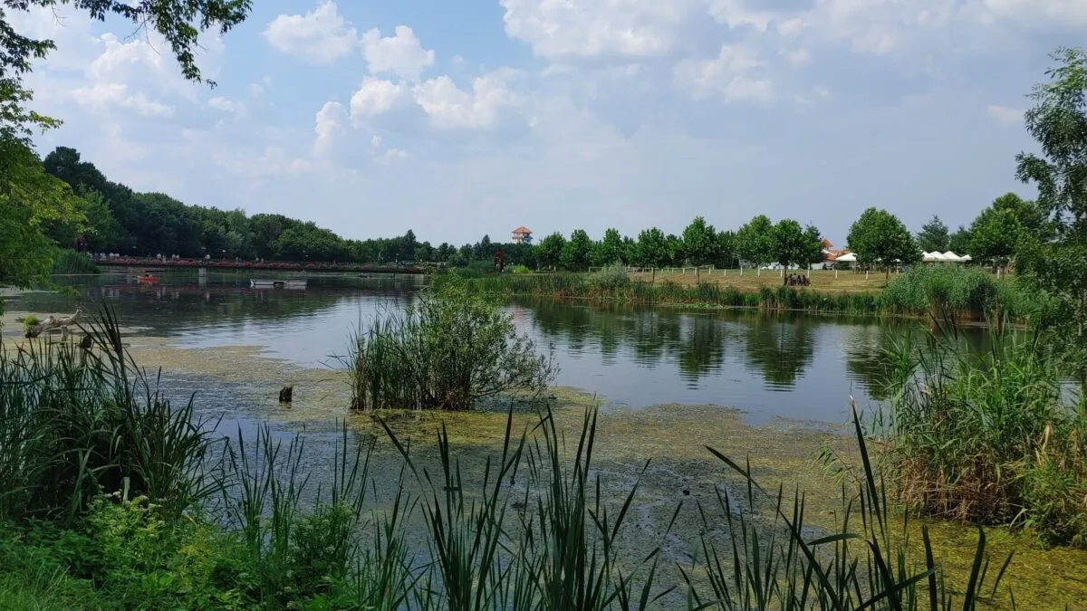 aventură Comana — Imagine 32