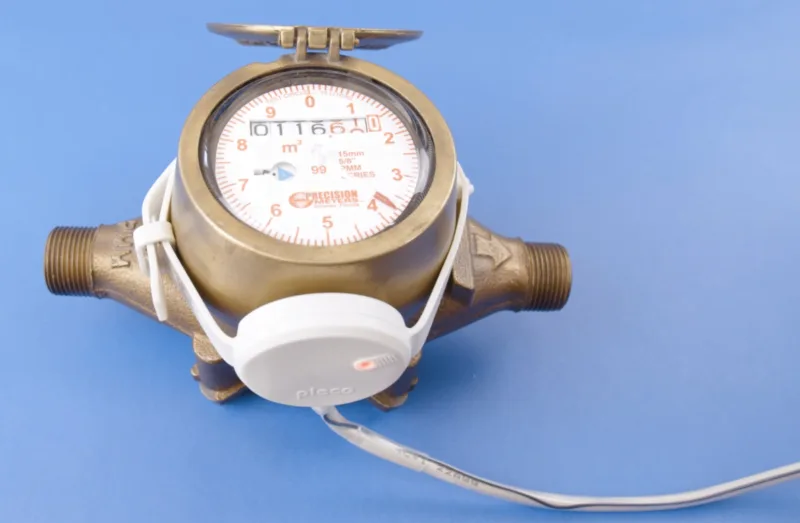 Pleco Smart Water Watch