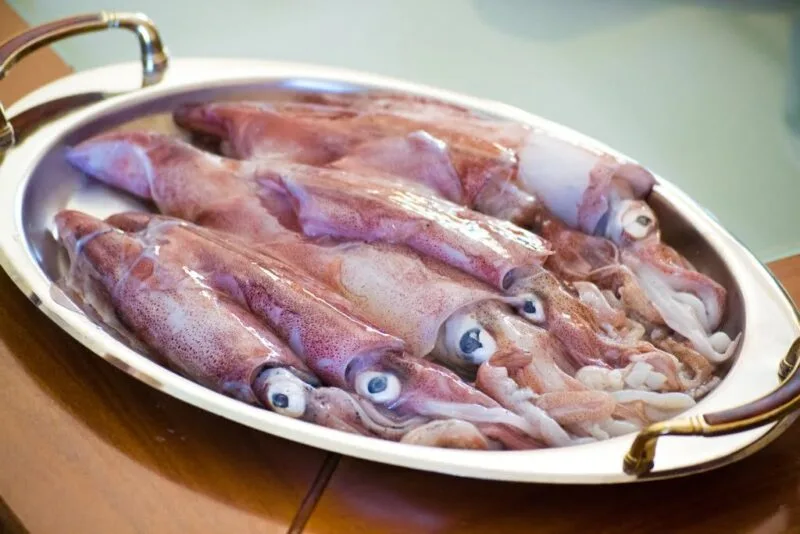 NASA calamari