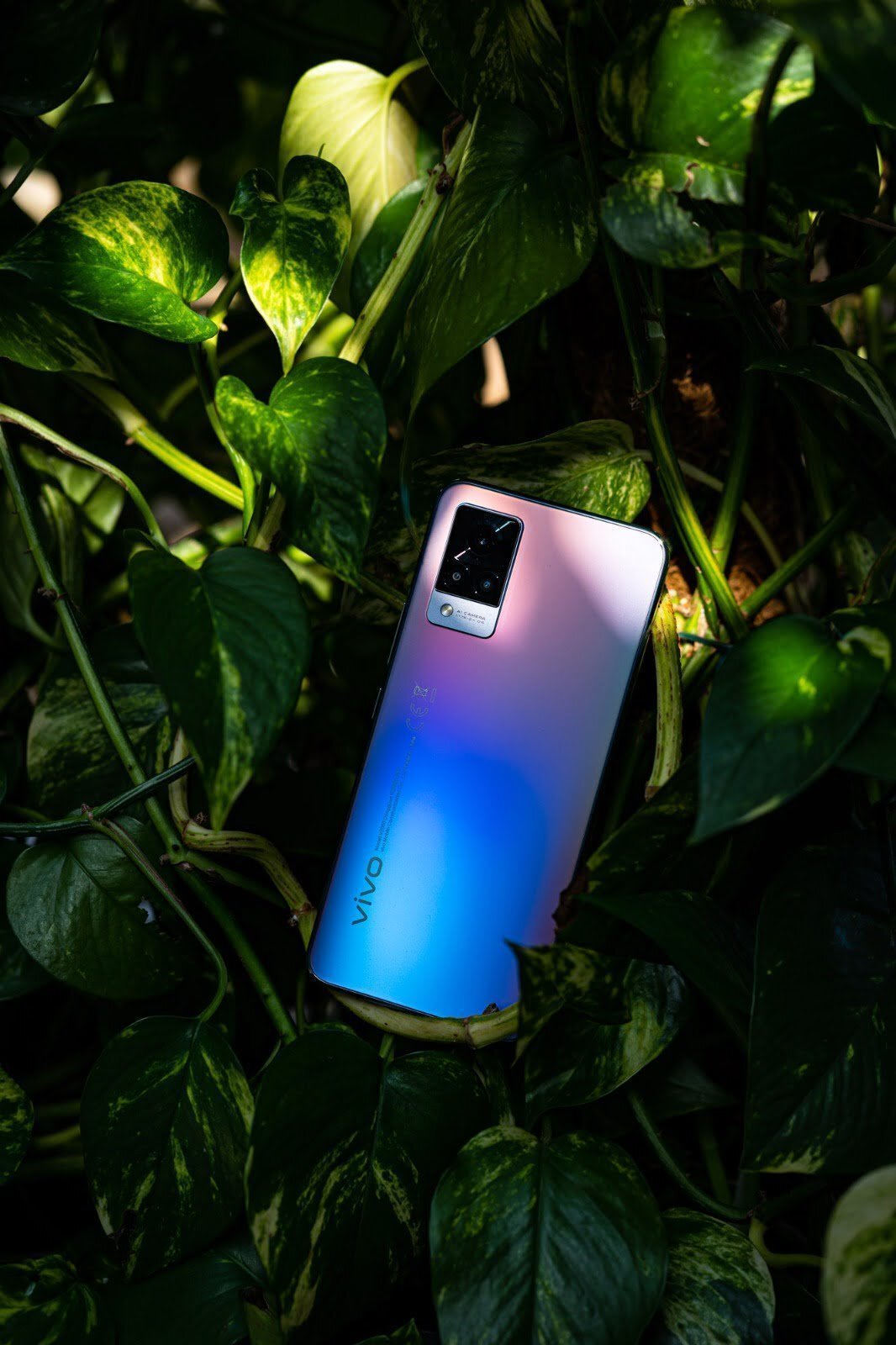 vivo V21 5G — Imagine 3