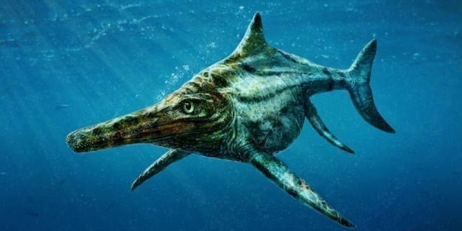 Ihtiozaur