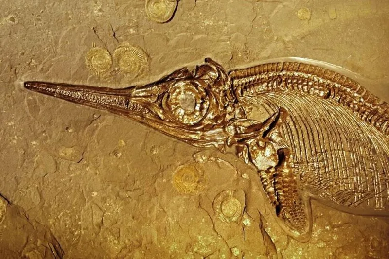 ihtiozaur
