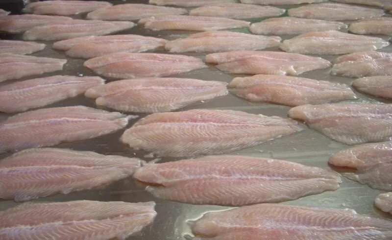 peștele pangasius