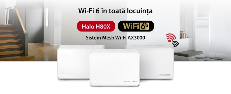 News HaloH80X 800px 1