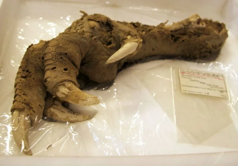 descoperiri misterioase