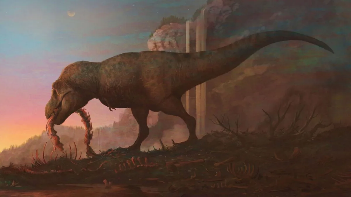 Tyrannosaurus rex Tyrannosaurus rex
