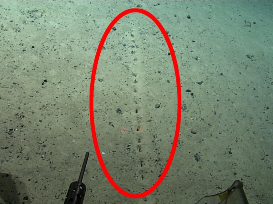 găuri misterioase atlantic găuri misterioase atlantic