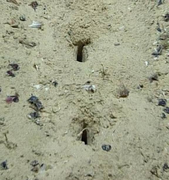 găuri misterioase atlantic — Imagine 2 Gauri misterioase atlantic 33