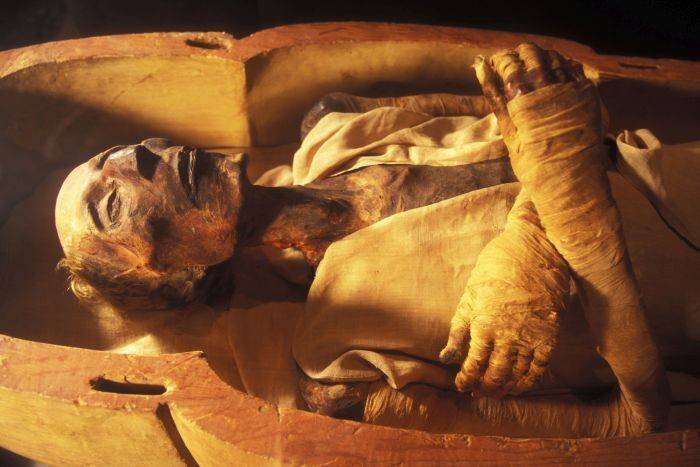 Ramses al II lea exponat