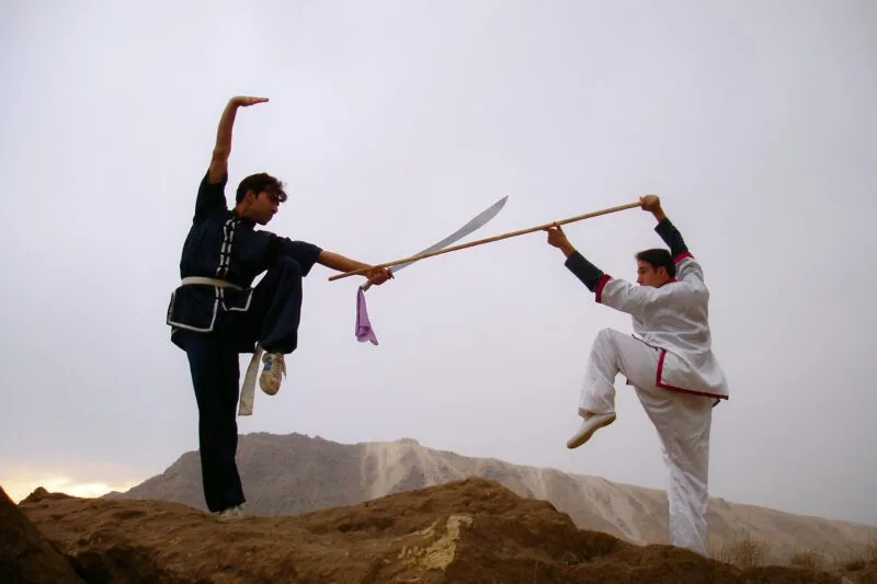 Istoria Kung Fu