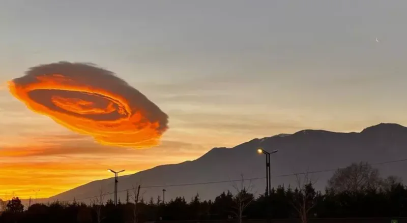 nor lenticular