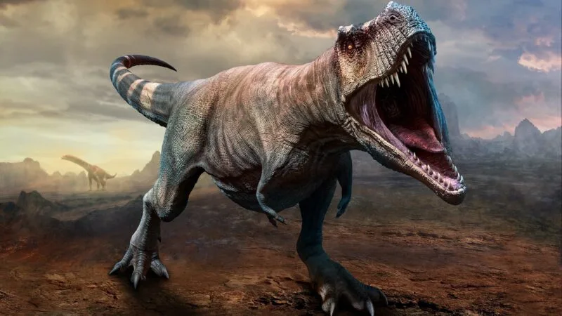 T. rex