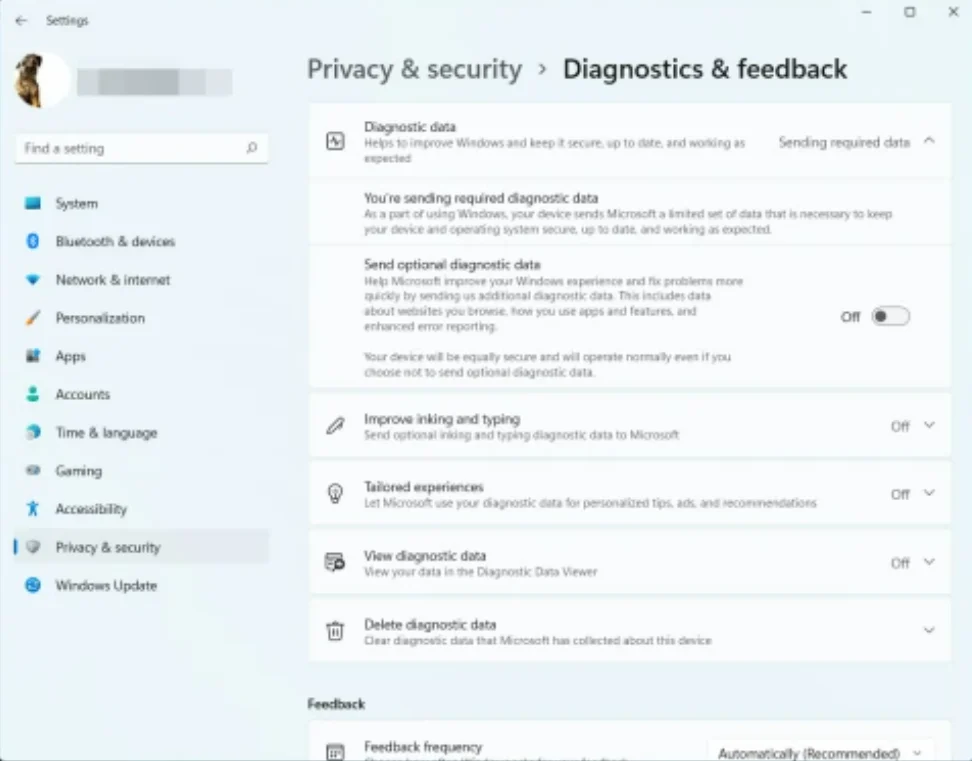 setări Windows 11 — Imagine 3
