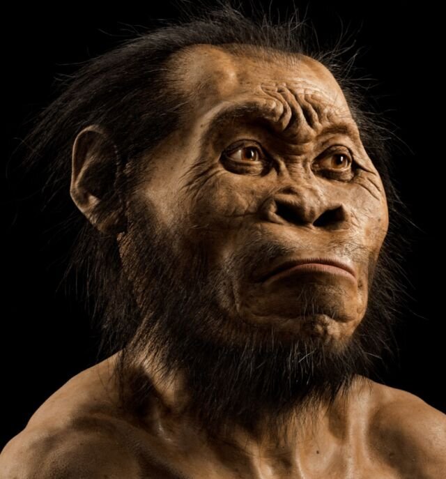 homo naledi — Imagine 2 homo naledi — Imagine 2