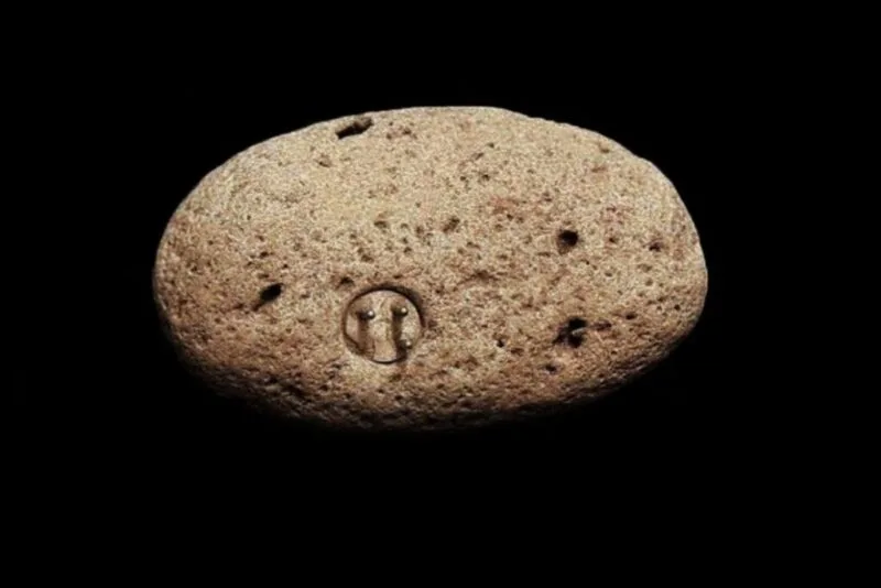 Petradox