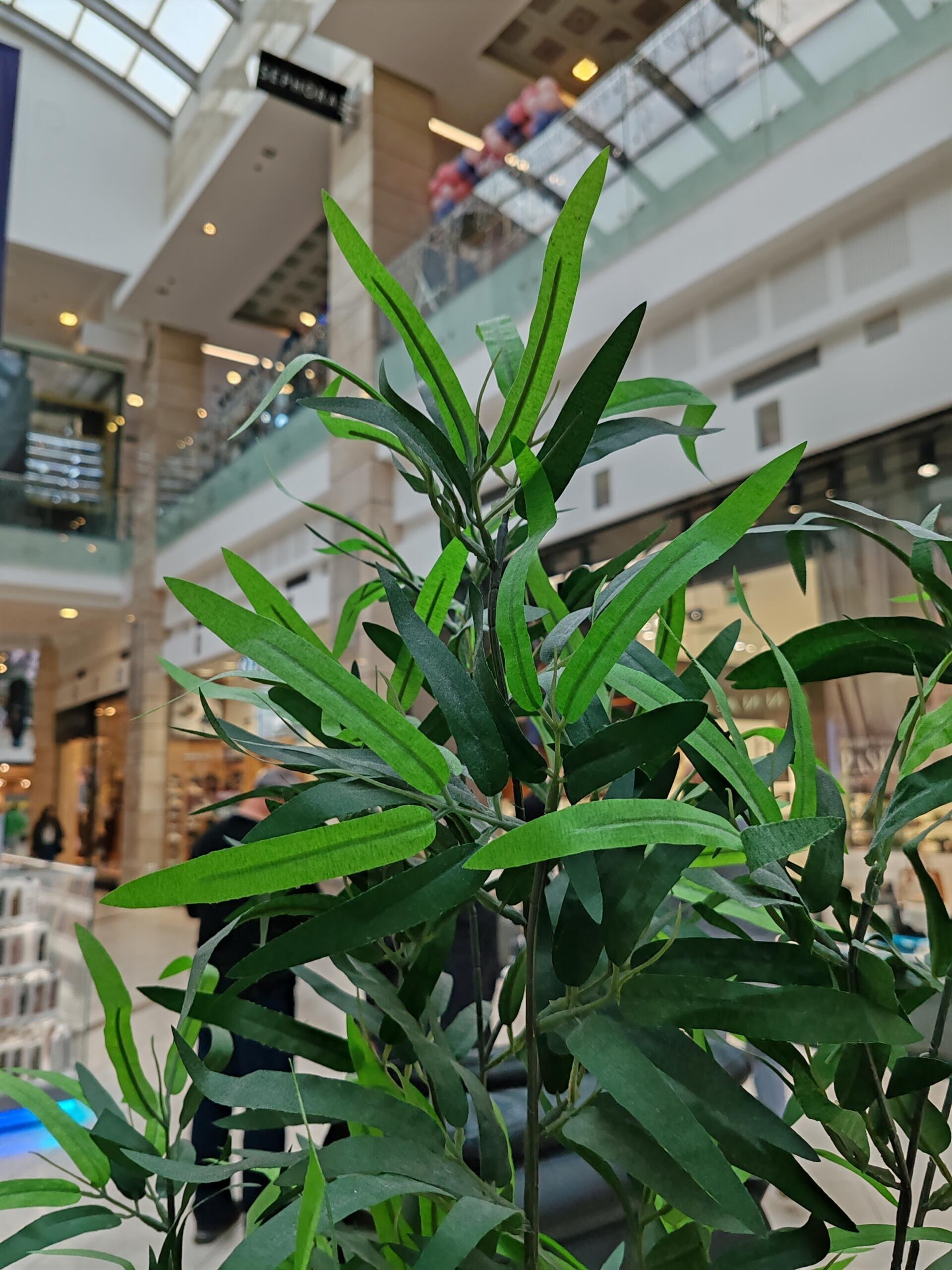 Honor 90 — Imagine 8